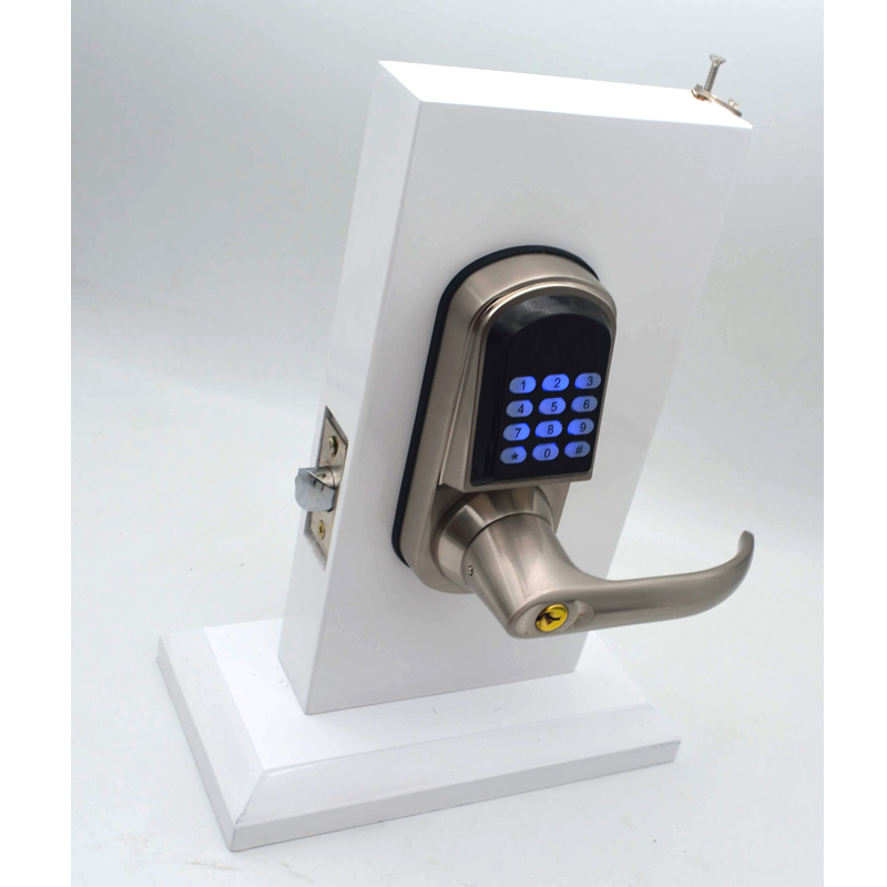 Высококачественный цифровой дв – обзор и цена Door Lock