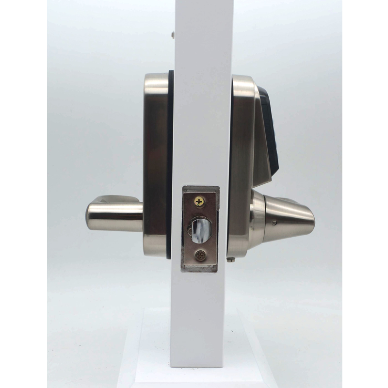 Высококачественный цифровой дв – обзор и цена Door Lock