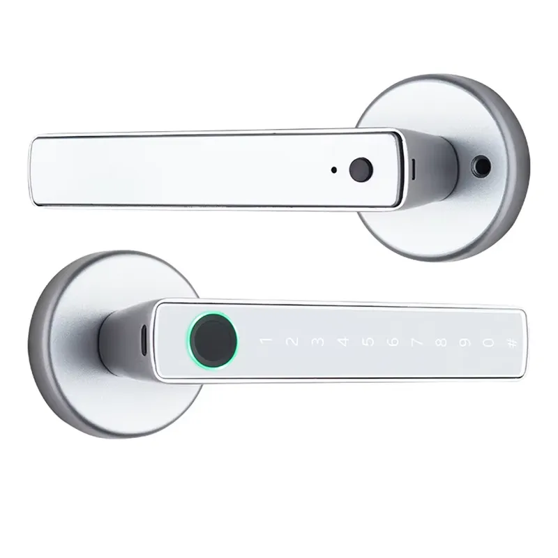 Электронная дверная ручка YMC  – обзор и цена Door Handle
